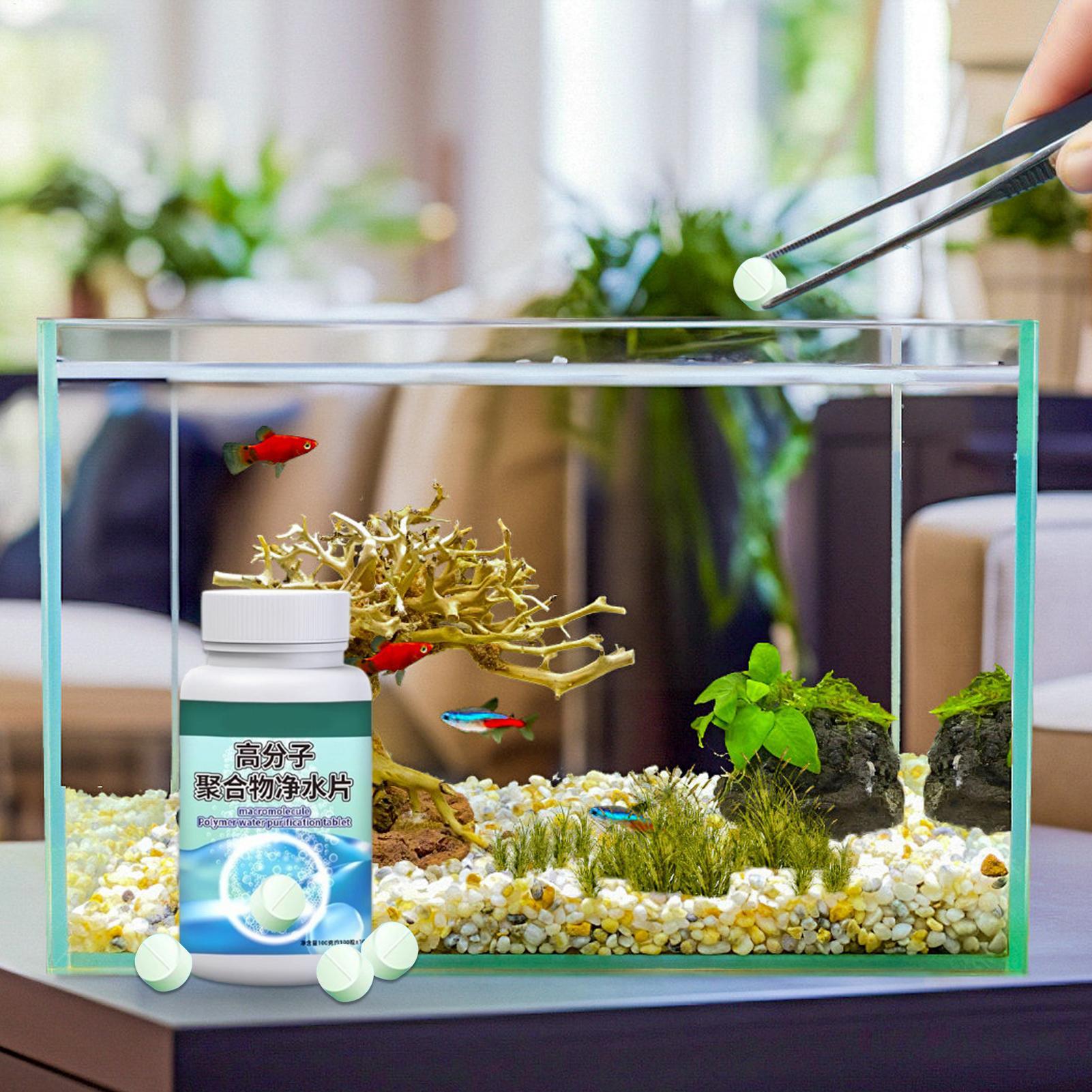 Fischfutter-Algenentferner, Aq – Betta Fish Tank Bewertung und Preis