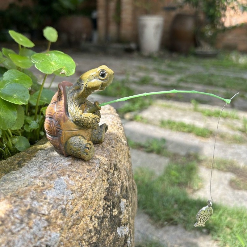 Schildkröten-Aquarium-Dekorati – Fish Aquarium Home Bewertung und Preis