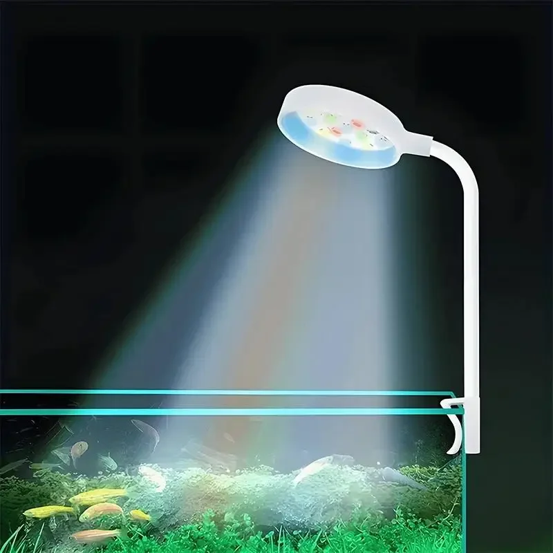 Aquariumlicht mit Adapter, LED – Aquarium Light Bewertung und Preis