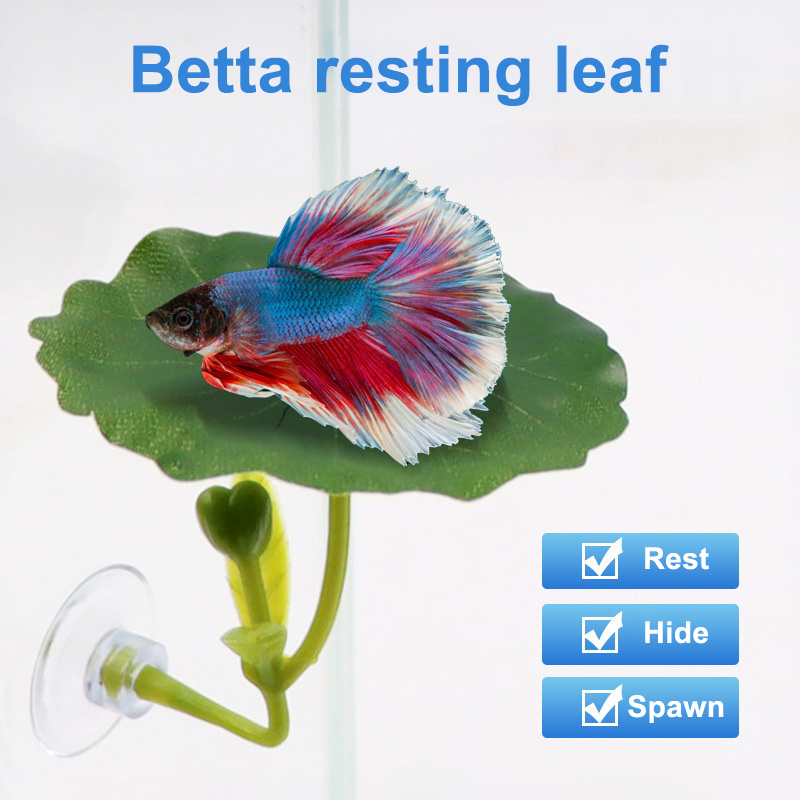 1 Stück Betta-Fisch-Blatt-Häng – Betta Fish Tank Bewertung und Preis