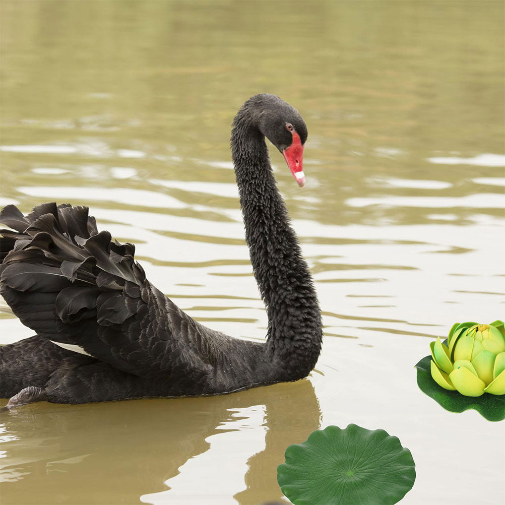 15 Stück lebensechte Seerosenb – Aquarium Decor Bewertung und Preis