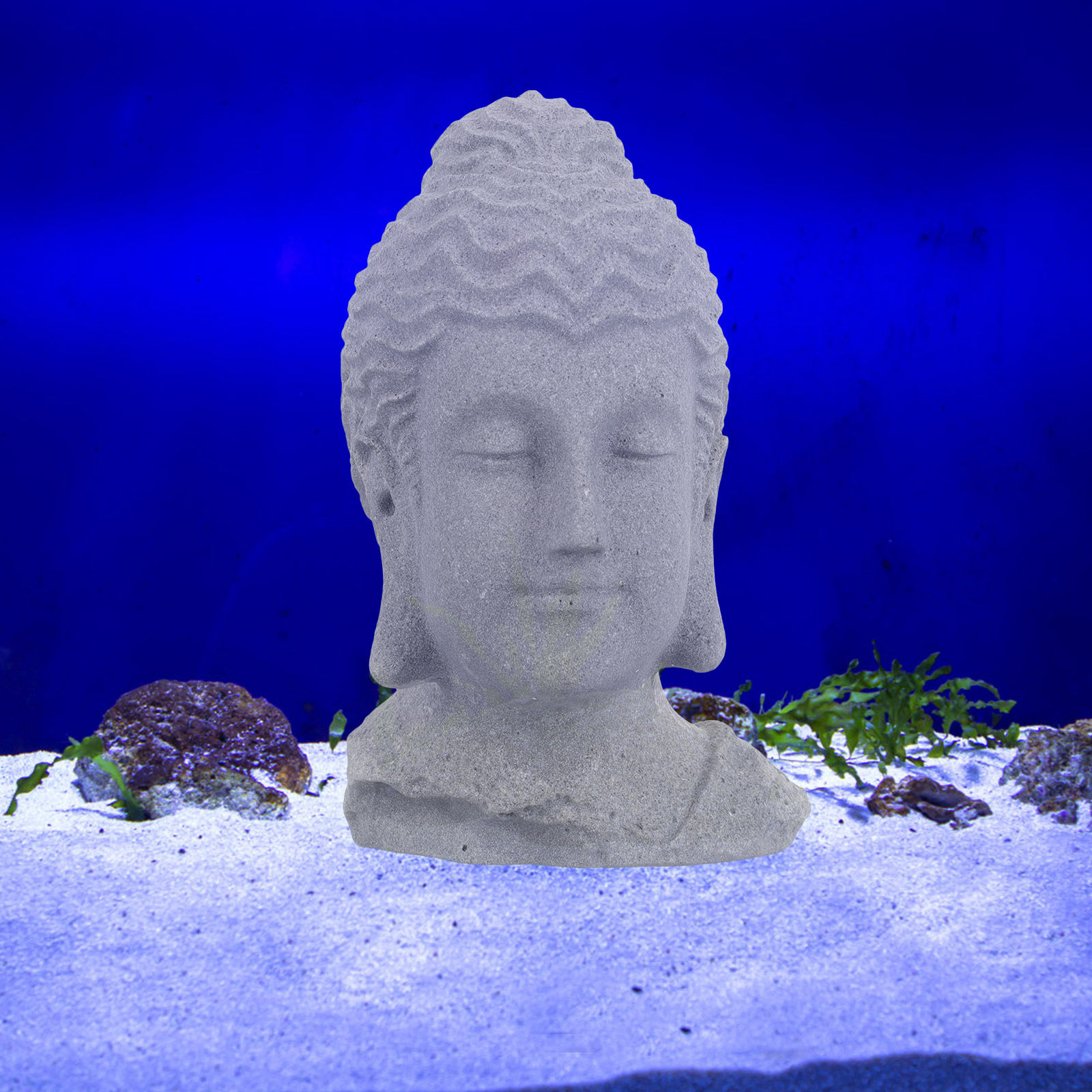 Meditierender Buddha-Kopf als  – Fish Aquarium Home Bewertung und Preis