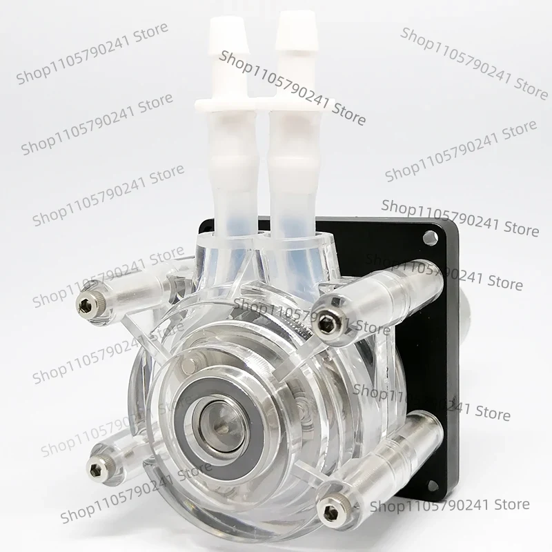 Peristaltische Pumpe DC 12V/24 – Aquarium Pump Bewertung und Preis